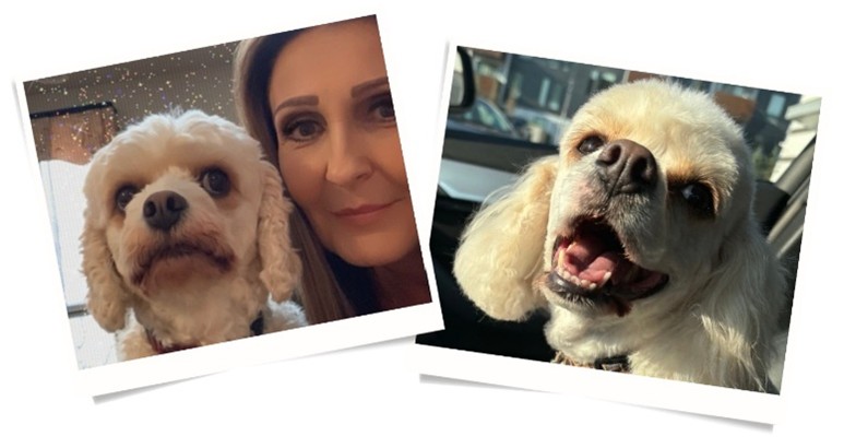 image of Anna and a dog