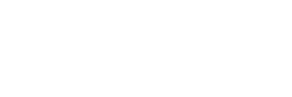 Bayley Wealth Management Logo