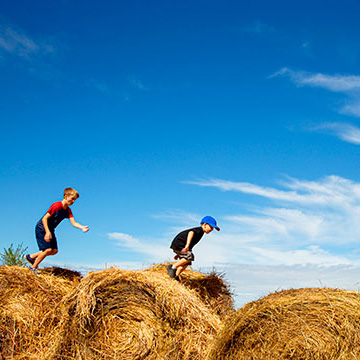 Kids on hay bales