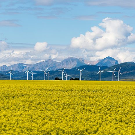 Wind Turbine -Renewable Energy