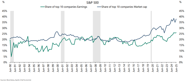 Chat - share of top 10 companies earning vs market cap 