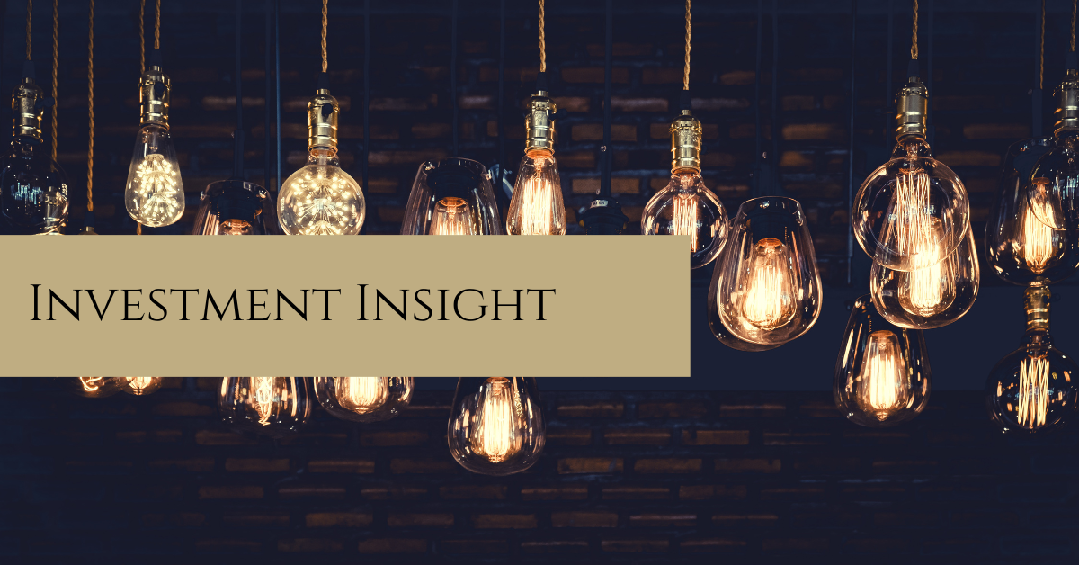 Picture of light bulbs and title Investment Insight