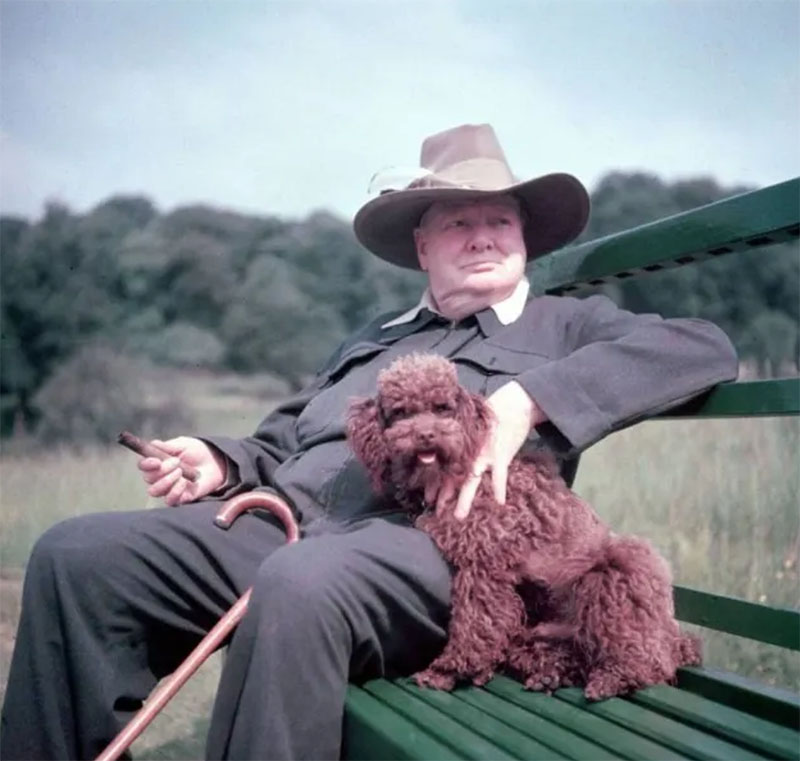 Winston Churchill with his dog