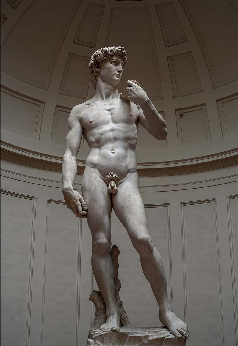 Michelangelo's David