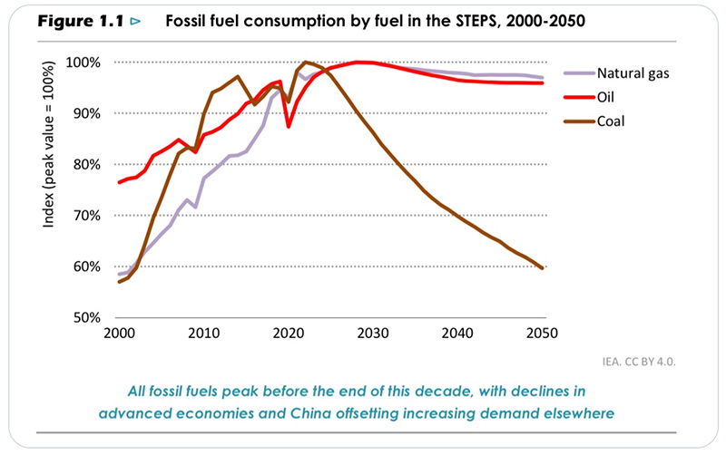 fossil fuel consumption