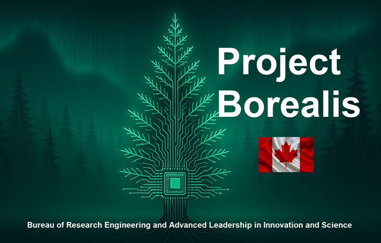Project Borealis - pine tree imagery