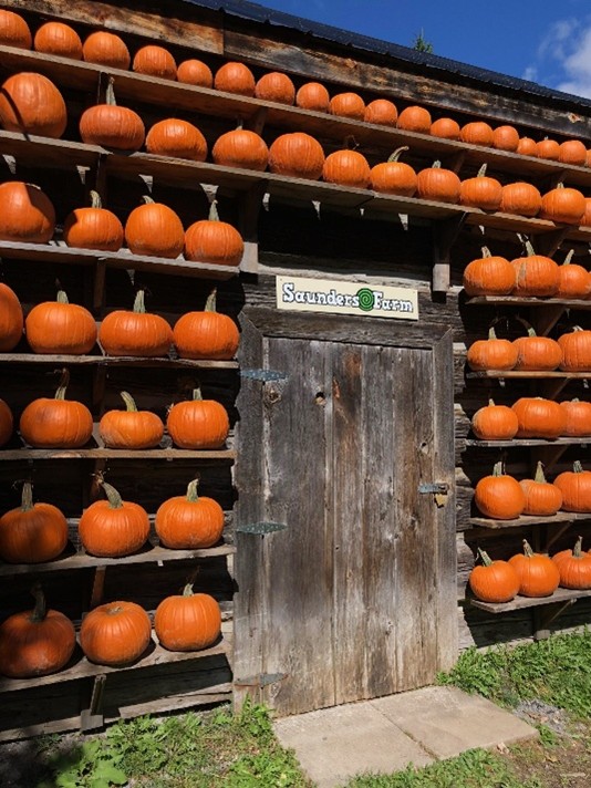 Saunders Farm Pumpkin Patch