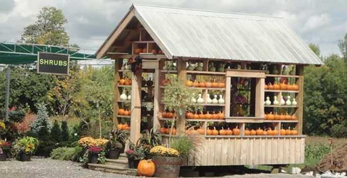 Miller's Farm