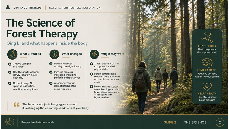 The Science of Forest Therapy