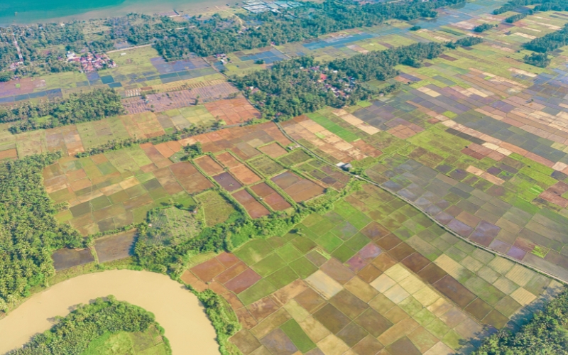 Farm field arial view