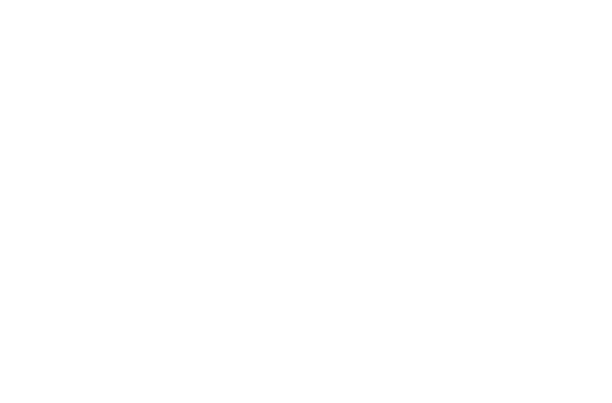 Lion's Gate Private Wealth Counsel