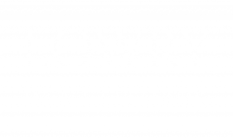 Lowry wealth management - Logo