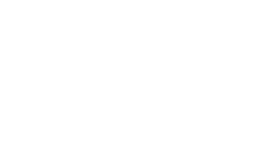 Sellors Associates Logo