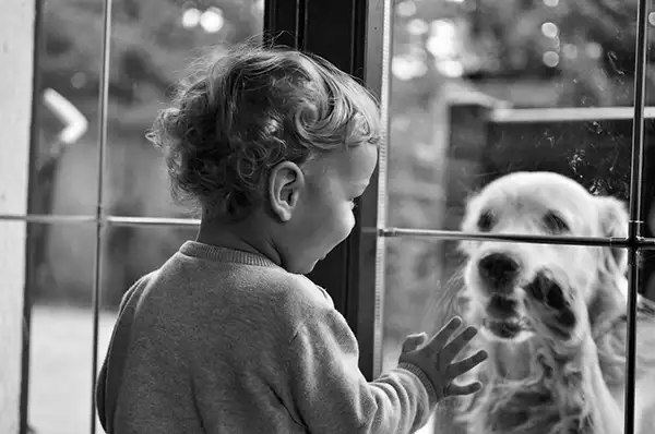 A black/white photo of a baby looking through a window with a dog on the other side.
