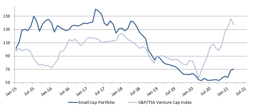 Small Cap Portfolio – Stonehaven Wealth Management