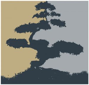 Bonsai Tree