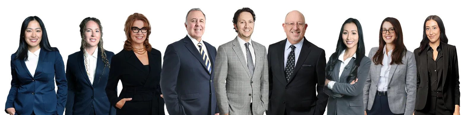 image of the VDH team